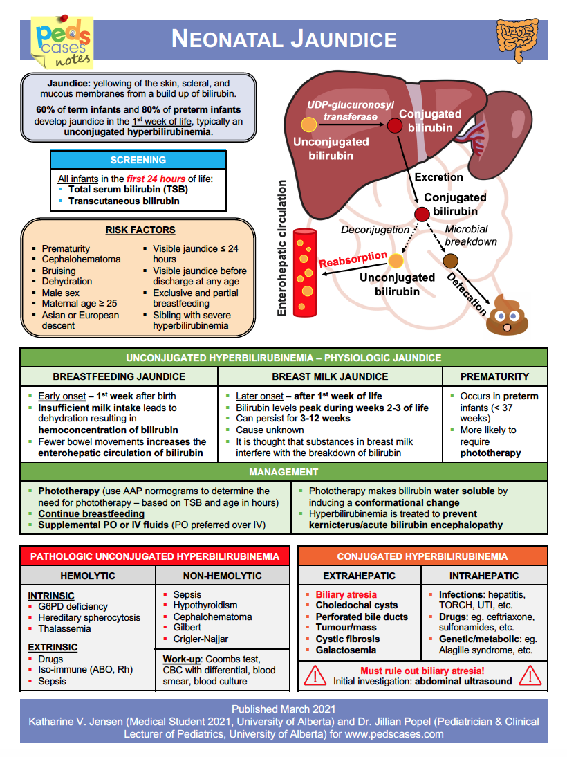 case study 10 1 neonatal bilirubin collection